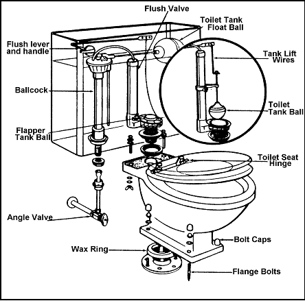 Line drawing diagram of the parts of a toilet